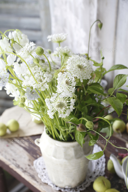 ホワイトレースフラワーのアレンジメント の写真素材 イラスト素材 アマナイメージズ