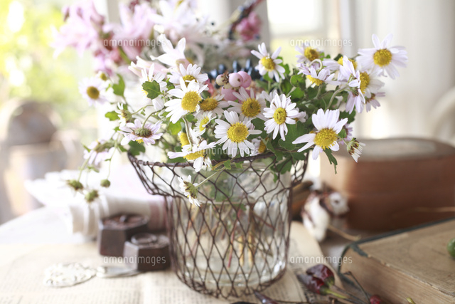 野菊のフラワーアレンジメント[21024009238]の写真・イラスト素材