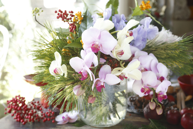 胡蝶蘭のお正月花アレンジ 器込み予約品 お正月飾り 胡蝶蘭 スワッグ