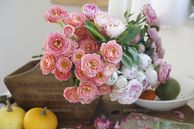 アプリコット色のバラのフラワーアレンジメント の写真素材 イラスト素材 アマナイメージズ