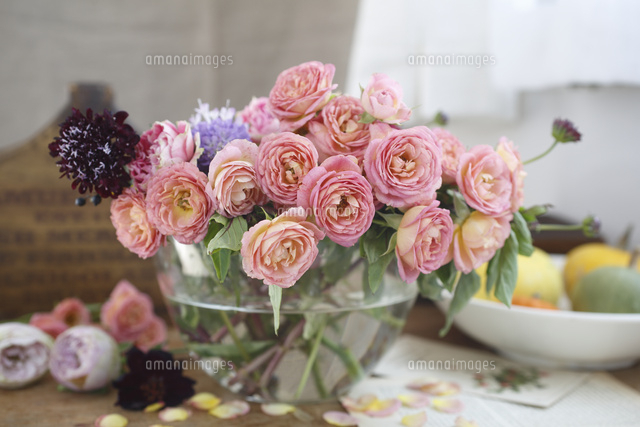 アプリコット色のバラのフラワーアレンジメント の写真素材 イラスト素材 アマナイメージズ