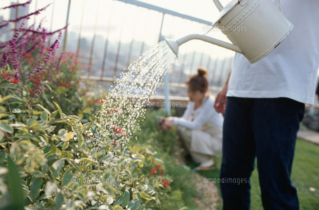 花に水をやる男性と庭仕事の女性 の写真素材 イラスト素材 アマナイメージズ