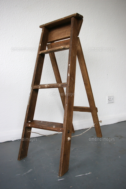 Also Ran, 2008[22040100699]の写真素材・イラスト素材｜アマナイメージズ