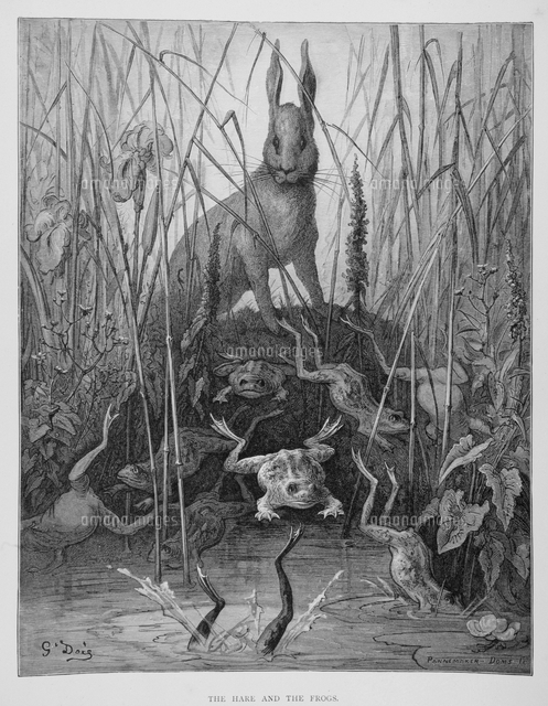 The Hare And The Frogs From The Fables Of La Fontaine En の写真素材 イラスト素材 アマナイメージズ