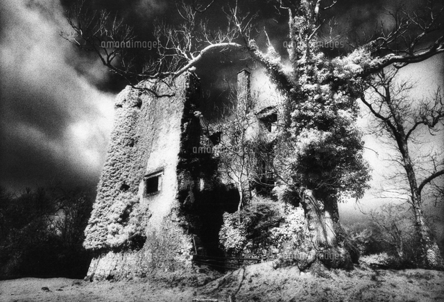 'Old' Castle Hackett, County Galway[22040200095]の写真素材・イラスト素材｜アマナイメージズ