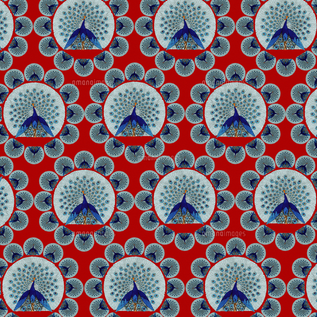 Repeating Pattern - peacocks, red[22048001582]の写真素材・イラスト素材｜アマナイメージズ