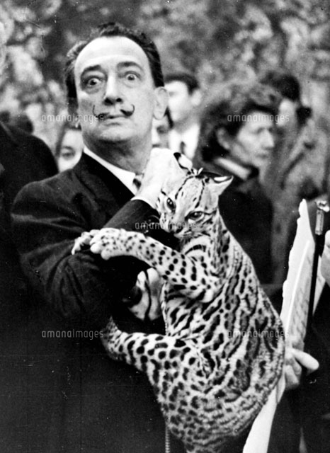 サルバドール・ダリ[22177001884]の写真・イラスト素材｜アマナイメージズ