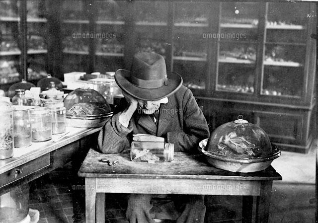 ジャン アンリ ファーブル の写真素材 イラスト素材 アマナイメージズ