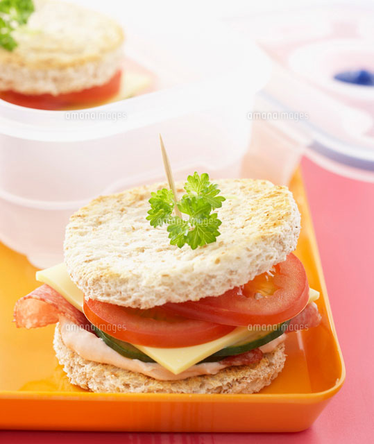 Salami cheeseburger in wholemeal toast[22199045473]の写真素材・イラスト素材｜アマナイメージズ