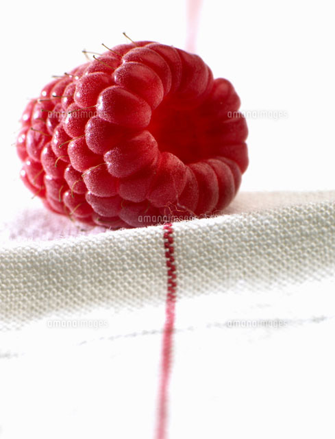 A raspberry on a tea towel[22199048654]の写真素材・イラスト素材｜アマナイメージズ