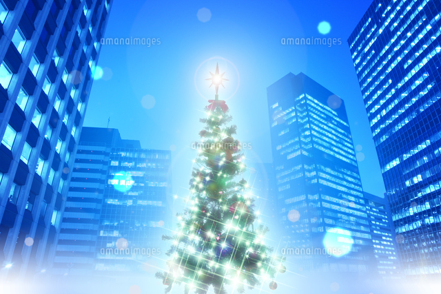 街の夜景とクリスマスツリー の写真素材 イラスト素材 アマナイメージズ