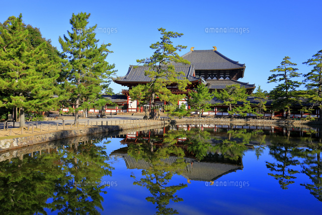 東大寺,大仏殿,金堂,鏡池,世界文化遺産[22359009843]の写真