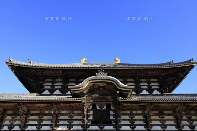 東大寺 大仏殿 金堂 世界文化遺産 の写真素材 イラスト素材 アマナイメージズ