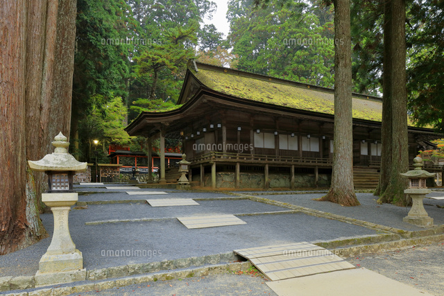 高野山真言宗 総本山金剛峯寺 山王院 御社の拝殿 常夜燈[22359010159