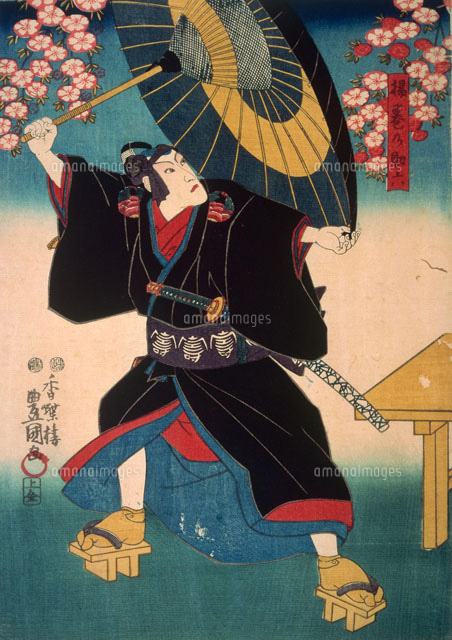 揚巻の助六[22451030499]の写真・イラスト素材｜アマナイメージズ
