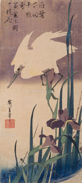 【真作】掛軸　菖蒲図　花鳥画　静寂に咲く気品の一幅　水墨淡彩　花鳥図　V37 2026年最新】Yahoo!オークション -日本画 菖蒲の中古品・新品・未使用