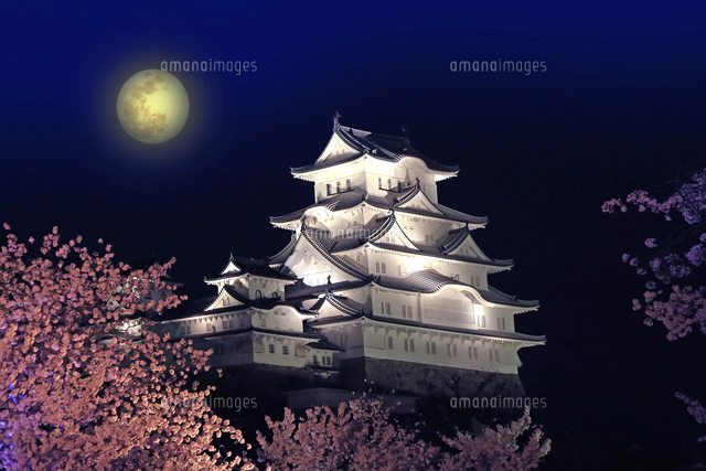 姫路城 桜[22456001577]の写真・イラスト素材｜アマナイメージズ