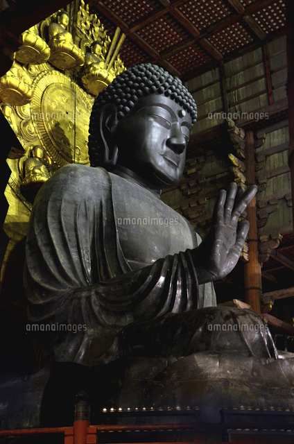 東大寺 大仏殿 夜景[22456001984]の写真・イラスト素材｜アマナイメージズ
