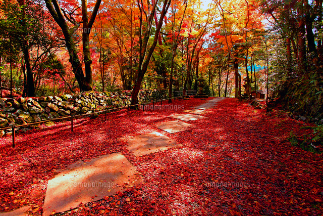 高山寺 紅葉 の写真素材 イラスト素材 アマナイメージズ