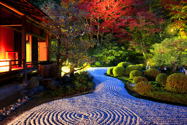 曼殊院 紅葉 夜景[22456002189]の写真・イラスト素材｜アマナイメージズ