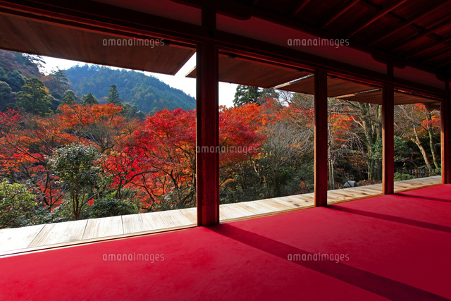 高山寺 紅葉 の写真素材 イラスト素材 アマナイメージズ