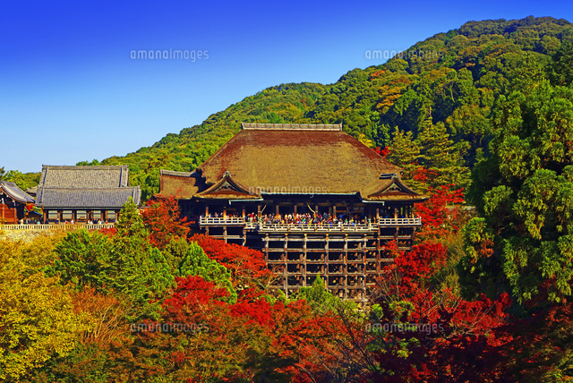 京都府 清水寺 紅葉 の写真素材 イラスト素材 アマナイメージズ