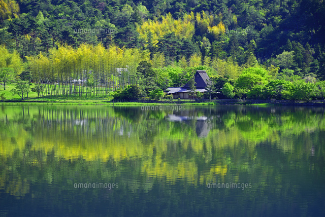 京都府 広沢池 の写真素材 イラスト素材 アマナイメージズ