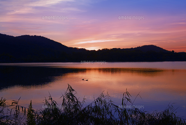 京都府 広沢池 朝景 の写真素材 イラスト素材 アマナイメージズ