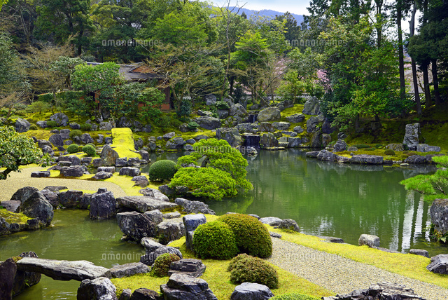 京都府 醍醐寺 三宝院 庭園 の写真素材 イラスト素材 アマナイメージズ