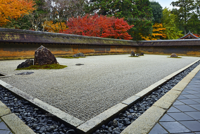 京都府 龍安寺 石庭 紅葉 の写真素材 イラスト素材 アマナイメージズ