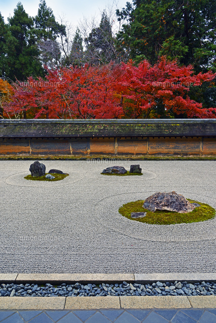 京都府 秋の龍安寺 石庭[22456004498]の写真・イラスト素材｜アマナ