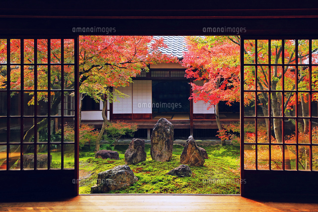 京都府 秋の建仁寺の庭園[22456004533]の写真・イラスト素材｜アマナ