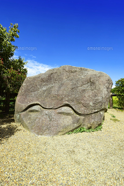奈良県 亀石[22456004683]の写真・イラスト素材｜アマナイメージズ