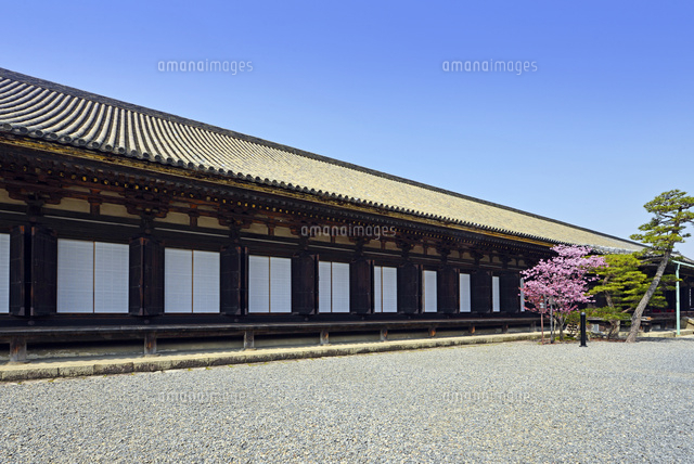 京都府 京都市 蓮華王院 三十三間堂[22456005052]の写真・イラスト素材