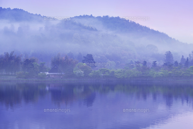 京都府 京都市 広沢池 早朝 春 の写真素材 イラスト素材 アマナイメージズ
