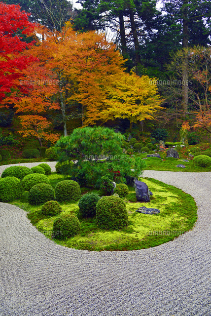 京都府 曼殊院 庭園 紅葉[22456005415]の写真・イラスト素材｜アマナ