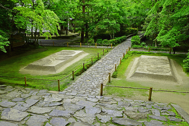 京都府 京都市 法然院 庭園[22456005487]の写真素材・イラスト素材 