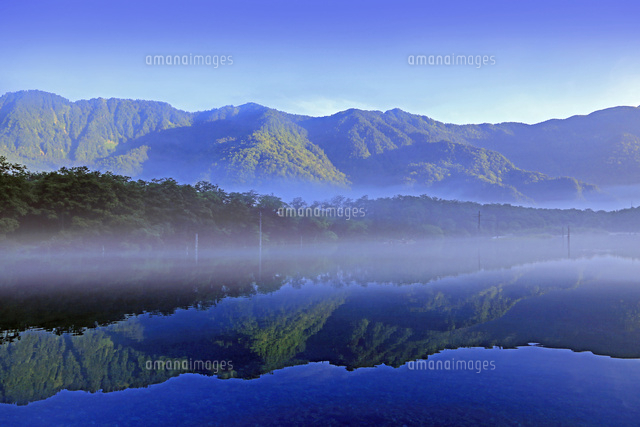 長野県 松本市 上高地 霧の大正池[22456005549]の写真・イラスト素材
