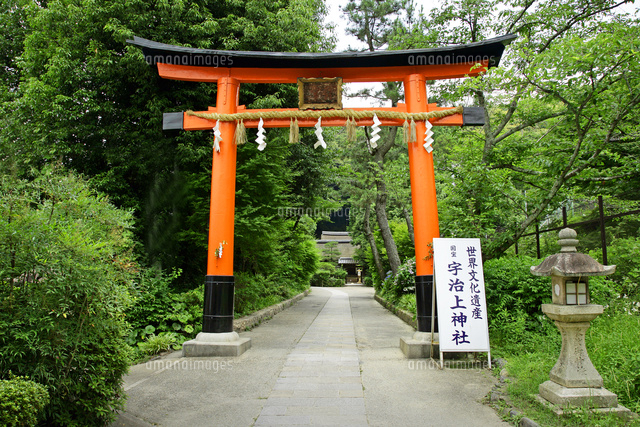 京都府 宇治市 宇治上神社 世界遺産[22456005651]の写真・イラスト素材