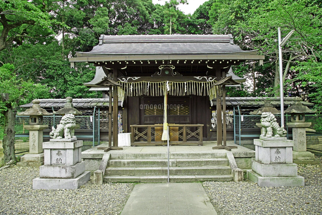 京都府 宇治市 宇治上神社 世界遺産[22456005651]の写真・イラスト素材
