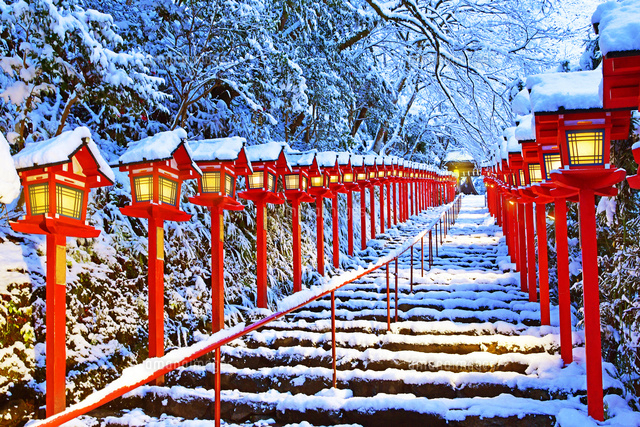 京都府 京都市 貴船神社 雪景色 ライトアップ[22456006151]の写真
