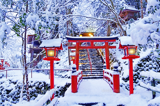 京都府 京都市 貴船神社 雪景色 ライトアップ[22456006154]の写真
