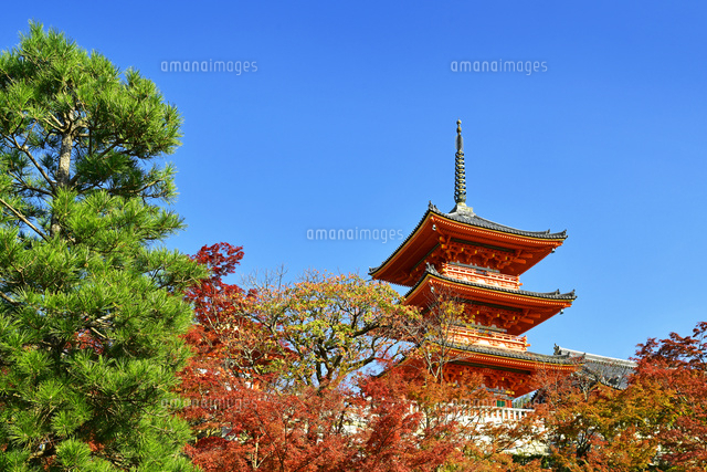 最大69 オフ 切手 Cm付 清水寺 西門と三重塔 世界遺産 カラーマーク Pcinsurances Ie
