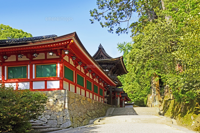 奈良県 天理市 石上神宮 の写真素材 イラスト素材 アマナイメージズ 奈良県 天理市 石上神宮 の写真素材 イラスト素材 アマナイメージズ