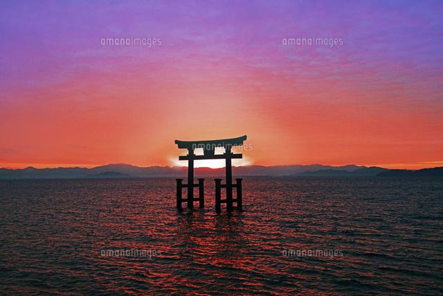 滋賀県 高島市 朝焼けの白鬚神社 朝日[22456006352]の写真・イラスト