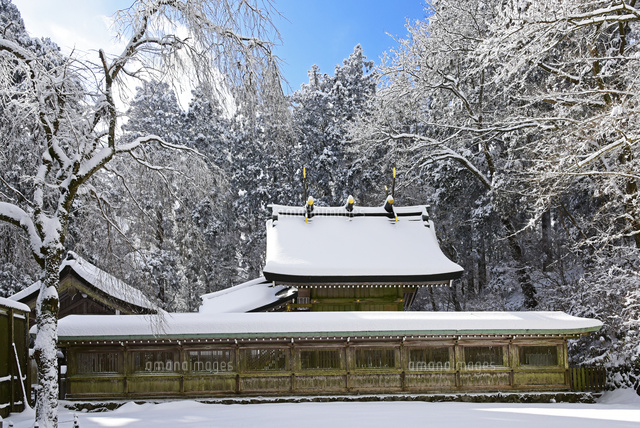 奈良県 御所市 雪景色の金剛山 葛木神社[22456006402]の写真