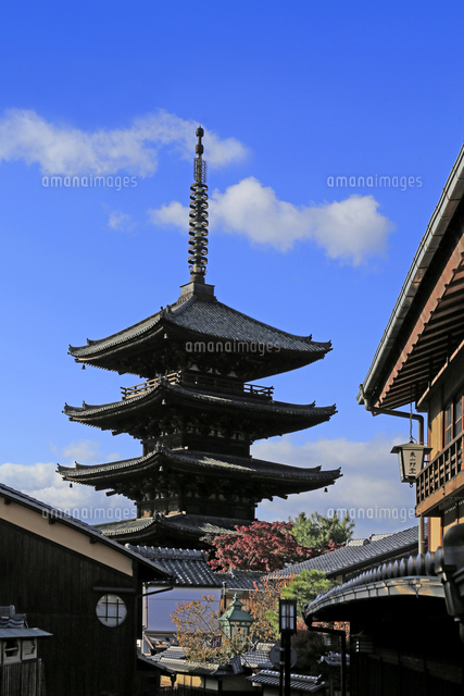 八坂の塔 秋 京都府 京都市[22456008670]の写真・イラスト素材｜アマナ