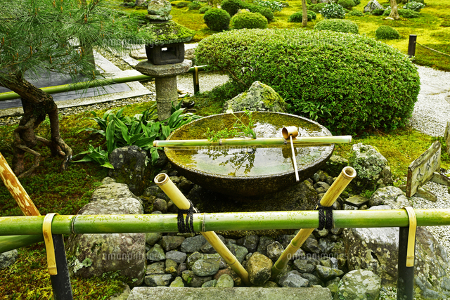 圓光寺 水錦窟 水盆 京都府 京都市[22456008900]の写真・イラスト素材