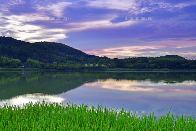 朝焼けの広沢池 夏景色 京都府 京都市 の写真素材 イラスト素材 アマナイメージズ