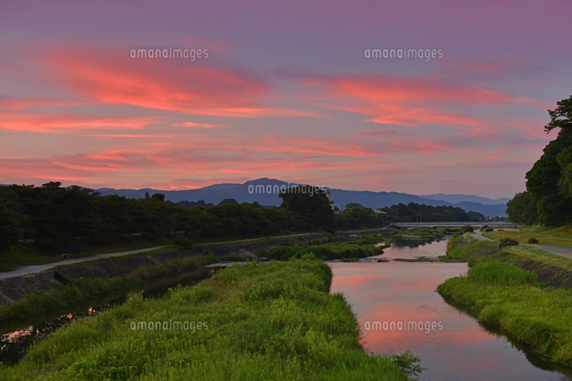 京都写真帖 笑う鴨川 京都写真帖 笑う鴨川